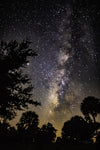 Milky Way in Florida