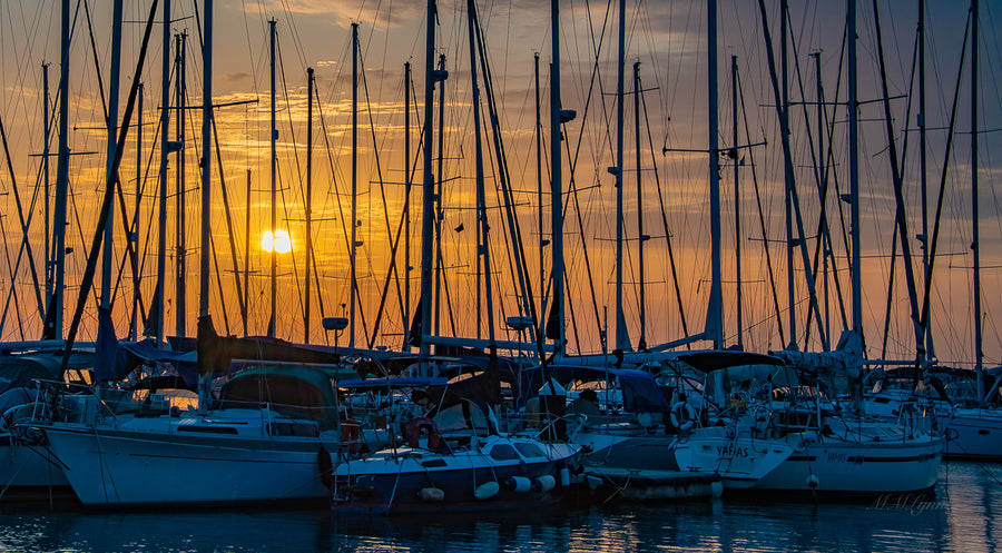 Marina Sunset