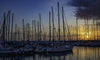 Marina Sunset