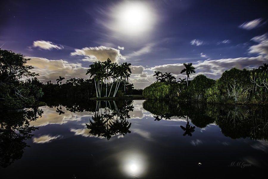 Supermoon over Miami