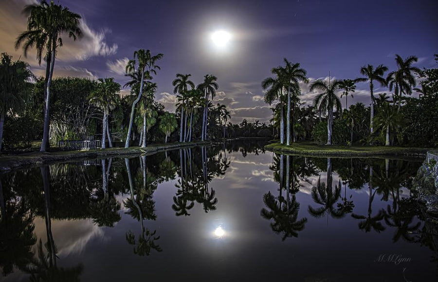 Supermoon over Miami